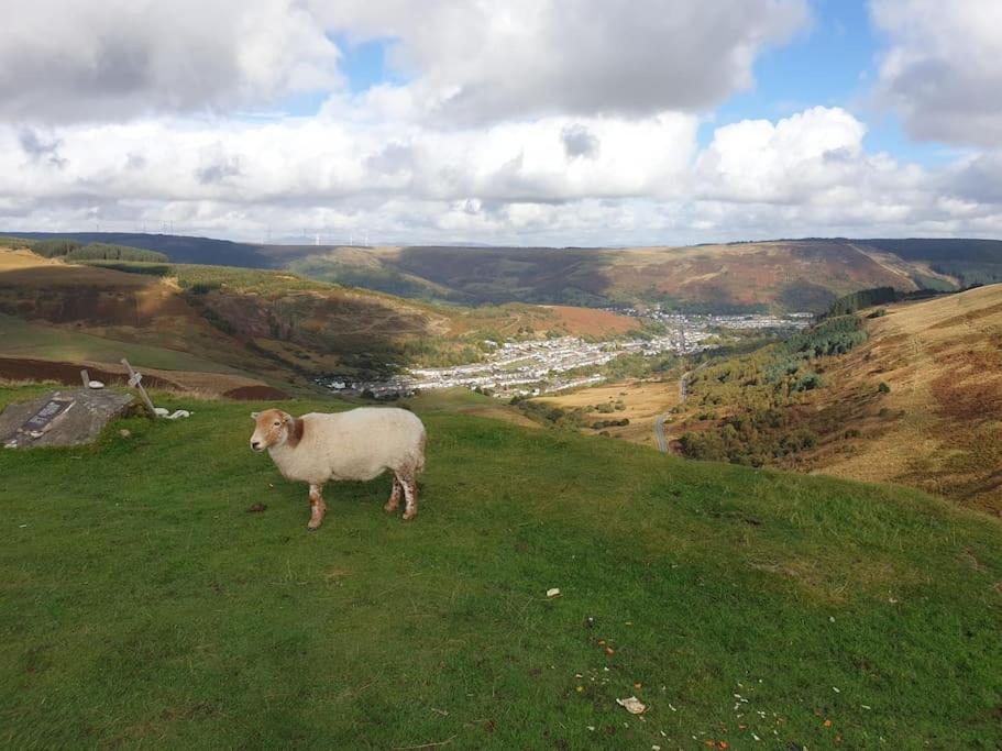 Welsh Miners Four Bedroom House Treherbert